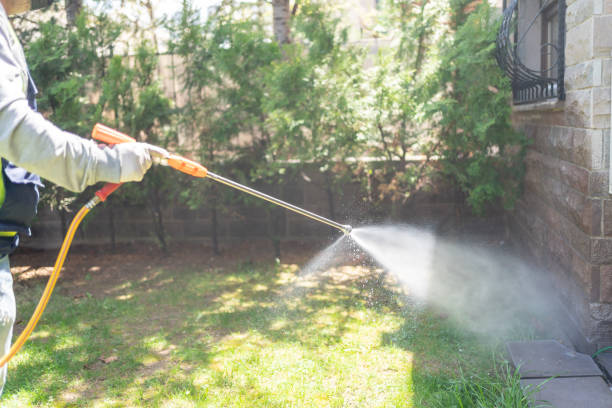 Lawn Pest Control in Chanhassen, MN